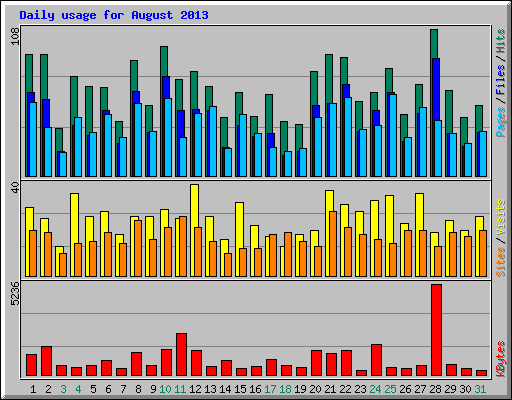 Daily usage for August 2013