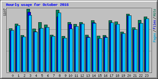 Hourly usage for October 2016